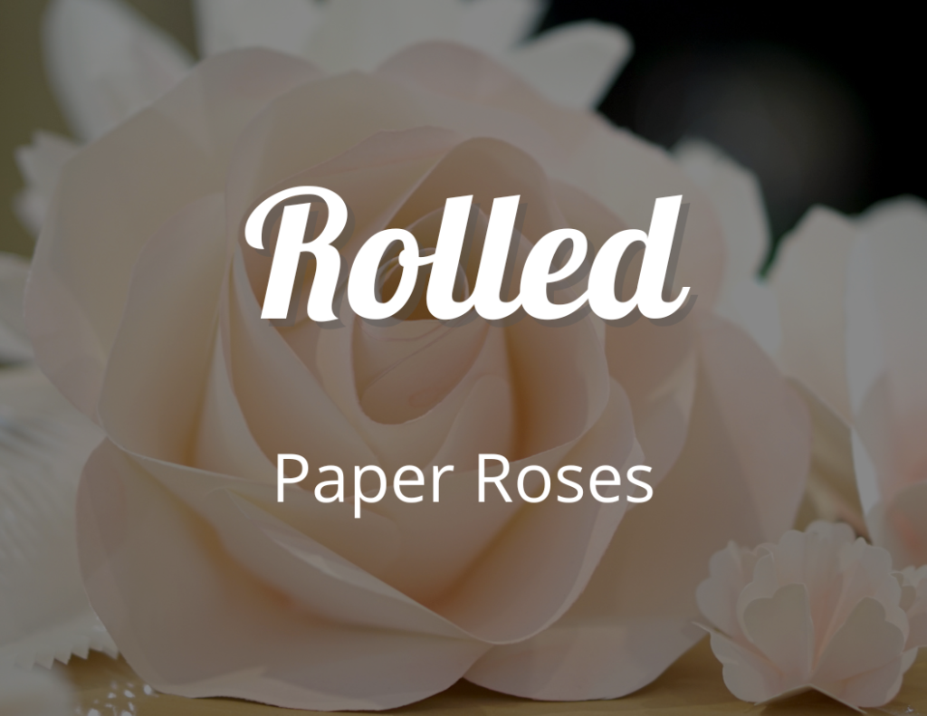 How to Make Rolled Paper Roses