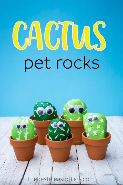 cactus pet rocks summer crafts