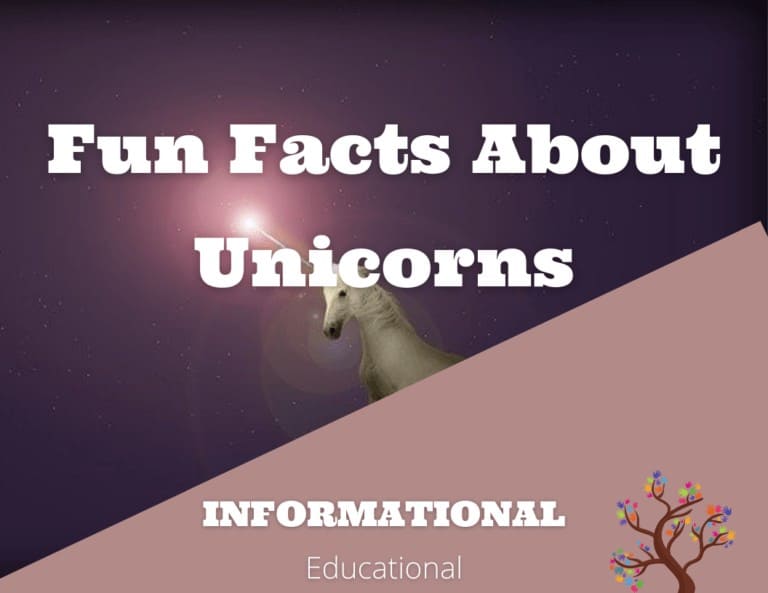 Fun Facts About Unicorns