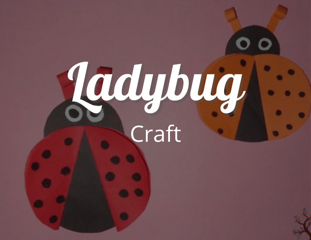 LadyBug Craft