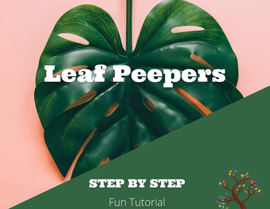 Leaf Peepers