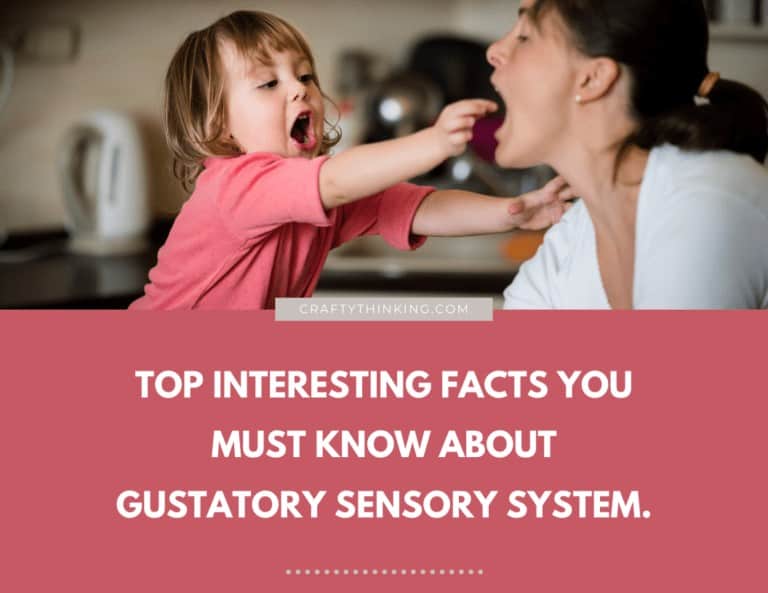 Interesting Facts You Must Know About Gustatory Sensory System.