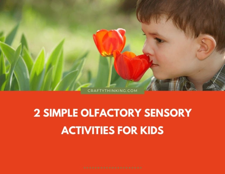 2 Simple Olfactory Sensory Activities for Kids: Fruit & Lotion Smell Test