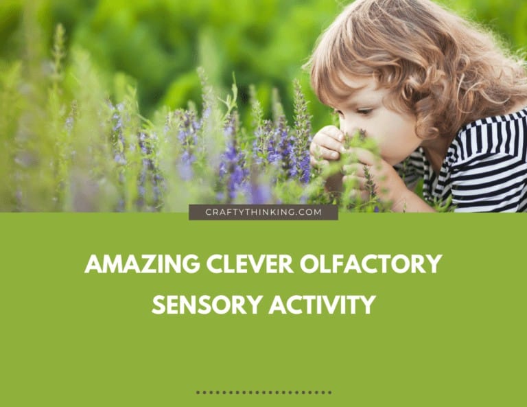 Amazing Olfactory Sensory Activity: Lemon Food Taste & Smell