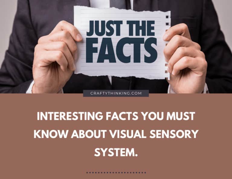 Interesting Facts You Must Know About Visual Sensory System And Visual Sensory Activities.