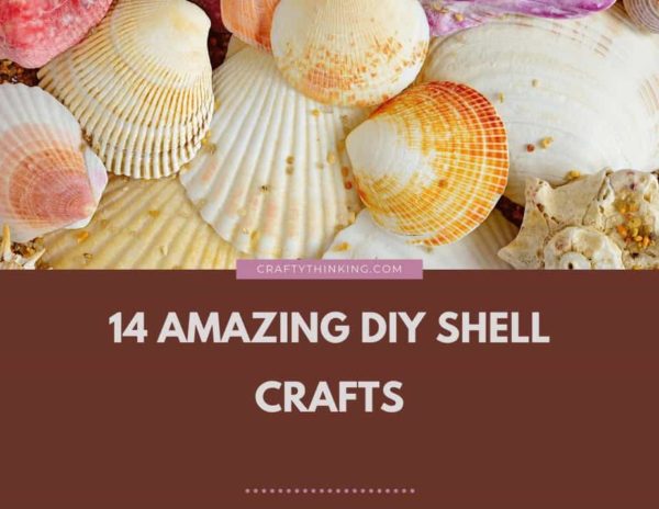 DIY Shell Crafts