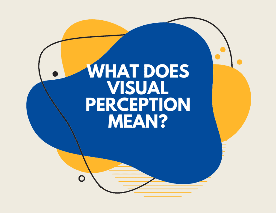 What Does Visual Perception Mean