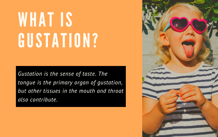 what is gustation