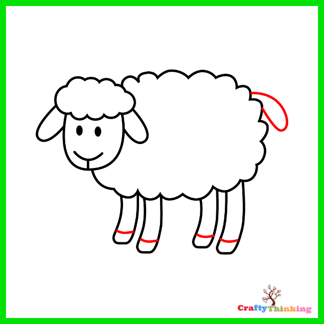 Sheep Drawing  TikTok