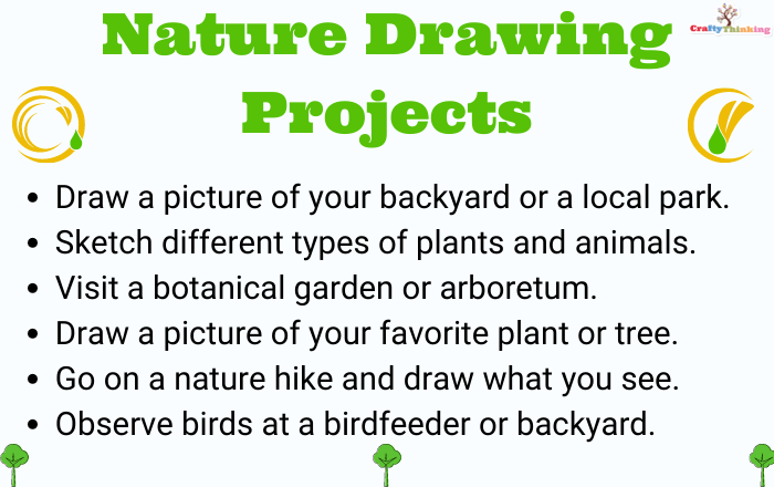Nature Drawing for 5th grade art project