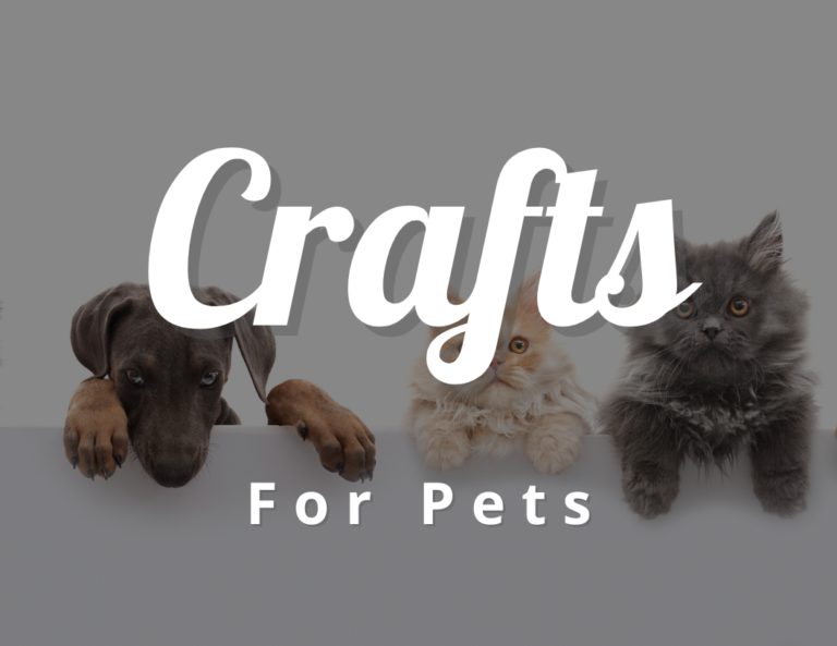 Crafts For Pets: A Perfect Combination!