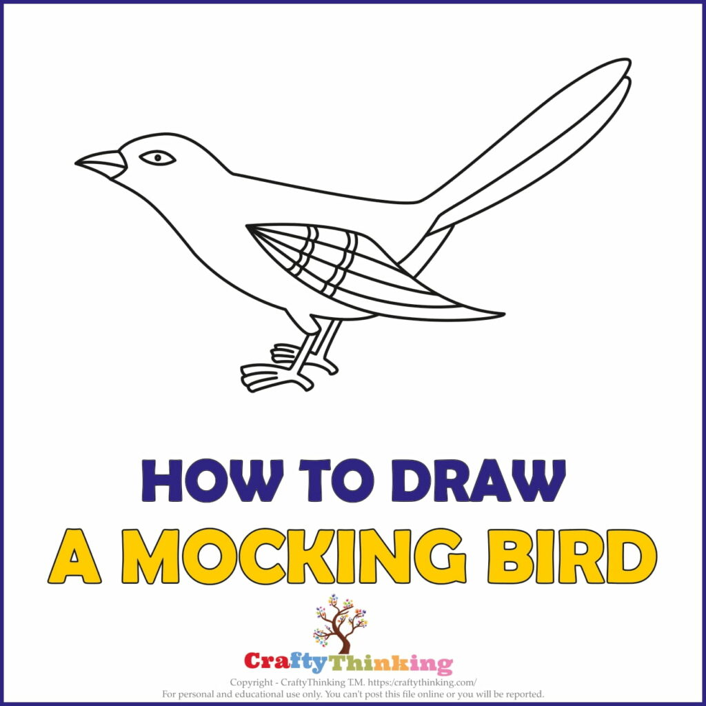 Birds to Draw Step by Step: How to Draw a Mockingbird