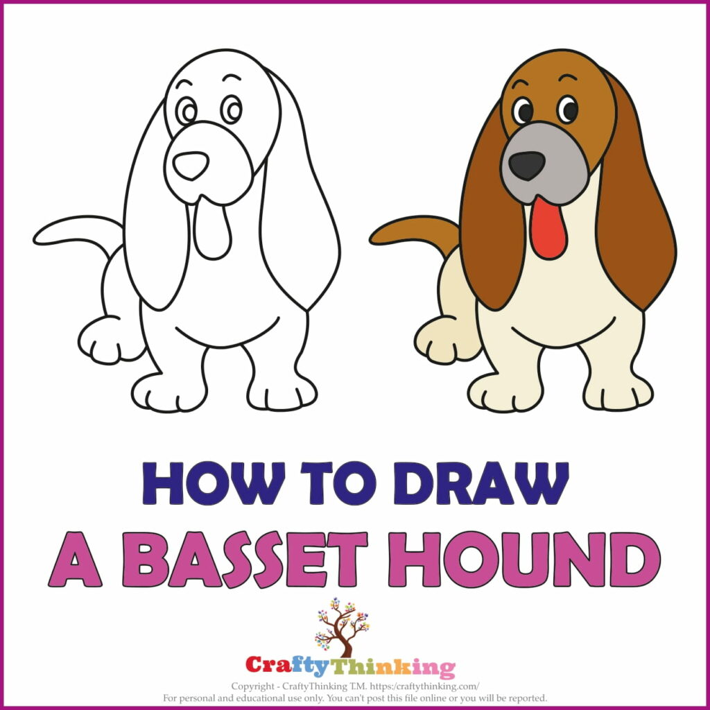 How to Draw a Basset Hound