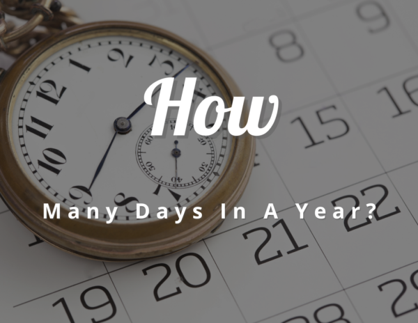 How Many Day In A Year