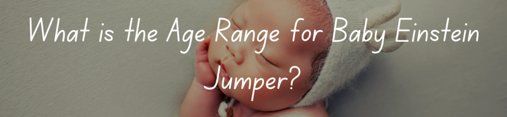What is the Age Range for Baby Einstein Jumper?
