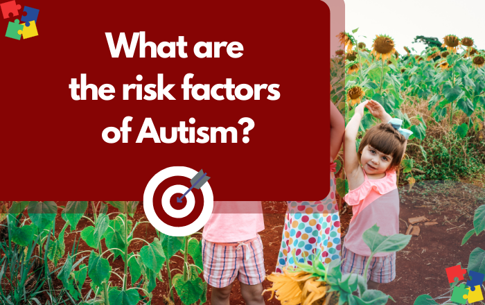 What are the risk factors of Autism?