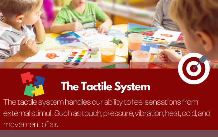 The Tactile System