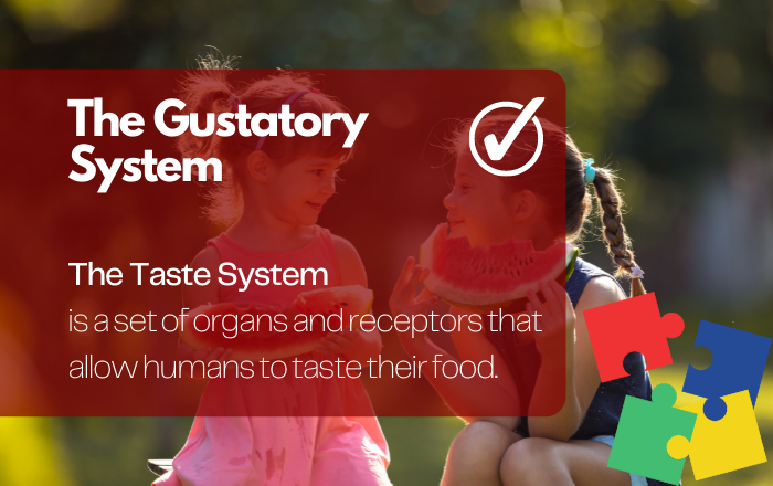 The Gustatory System