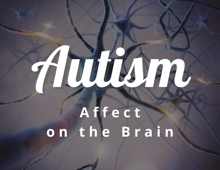 What Parts of the Brain Does Autism Affect?