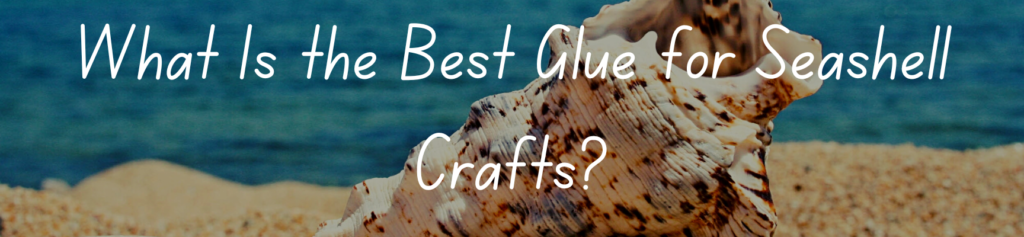What Is the Best Glue for Seashell Crafts