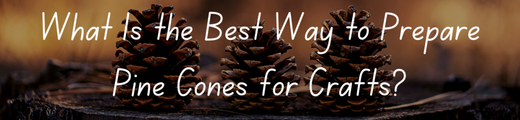 What Is the Best Way to Prepare Pine Cones for Crafts?