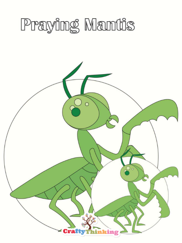 Insect Paper Plate Crafts Printables