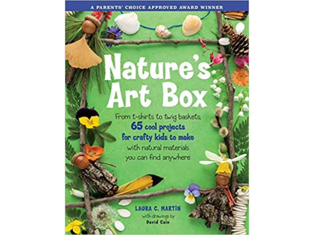 Nature's Art Box: From t-shirts to twig baskets, 65 cool projects for crafty kids to make with natural materials you can find anywhere Paperback – June 3, 2003