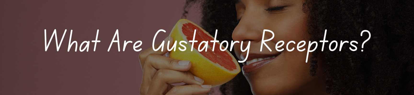 What Are Gustatory Receptors?
