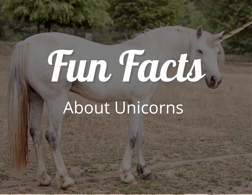 Fun Facts About Unicorns