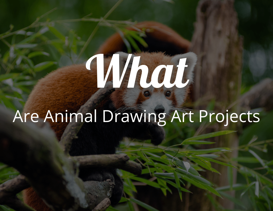 What Are Animal Drawing Art Projects