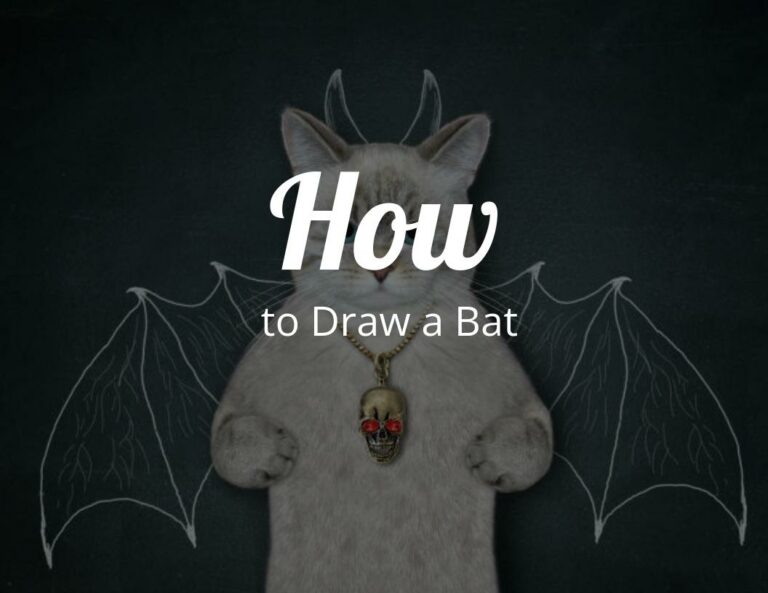 How to Draw a Bat (Drawing Guide)