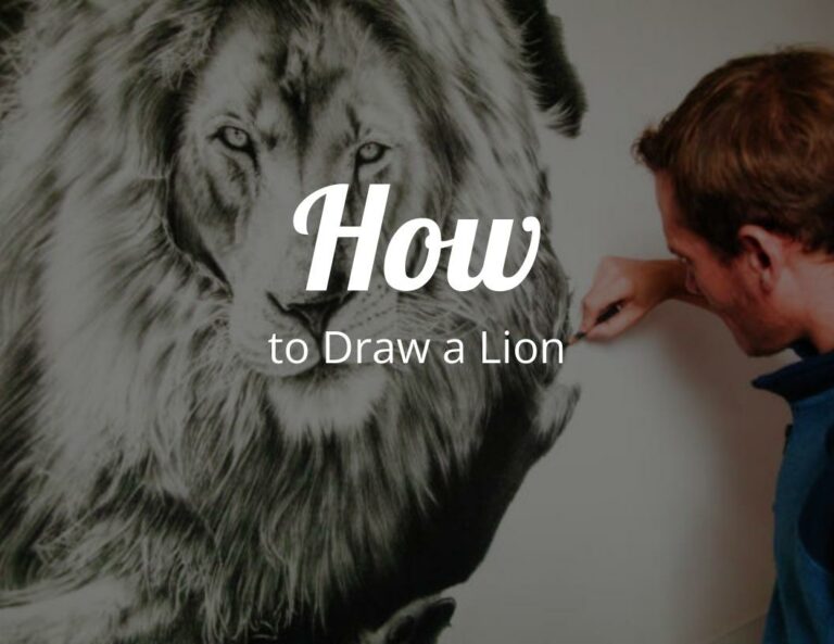 How to Draw a Lion Step by Step (Drawing Guide)