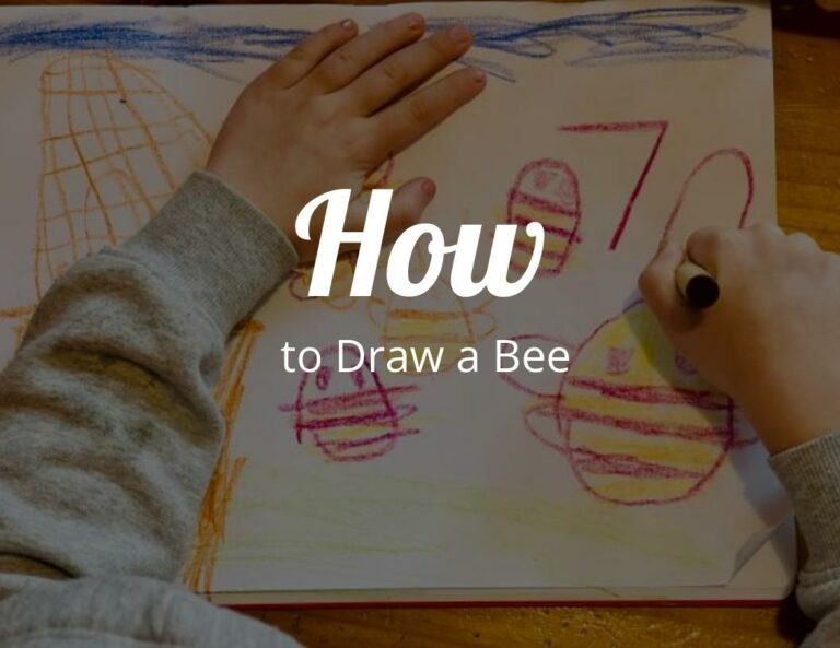 How To Draw A Bee (Step By Step)