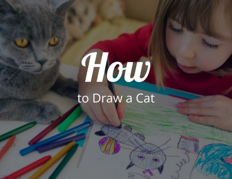 How to Draw a Cat (Step by Step Cat Drawing Instructions)