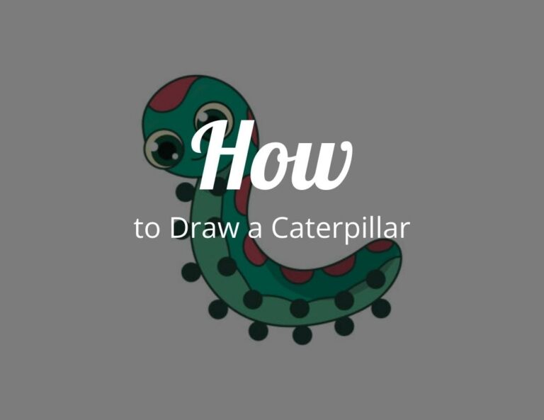How to Draw a Caterpillar (Step by Step)