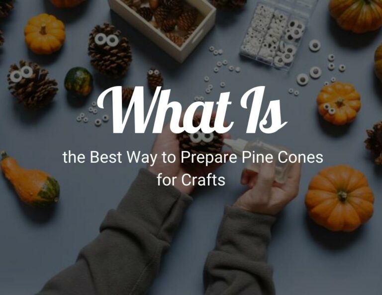 What Is the Best Way to Prepare Pine Cones for Crafts?