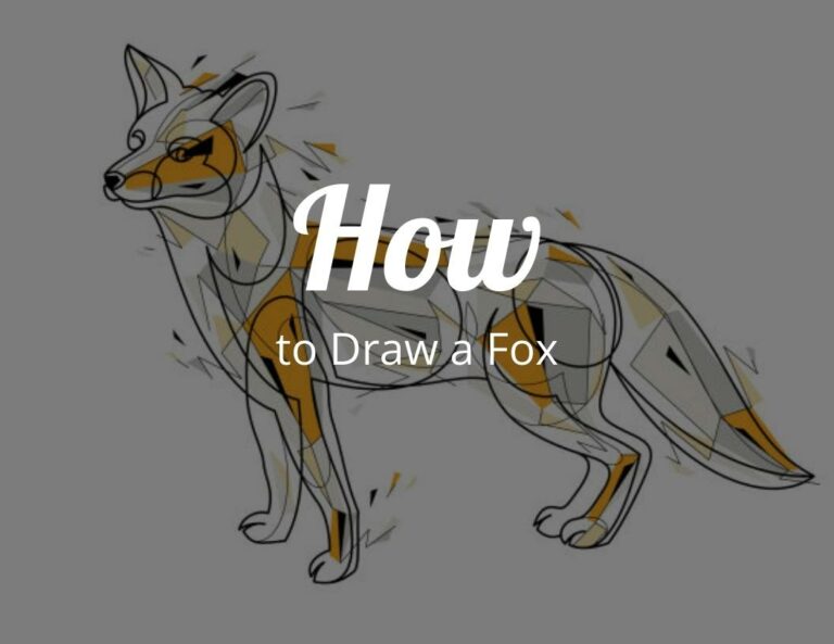How to Draw a Fox (Step by Step)