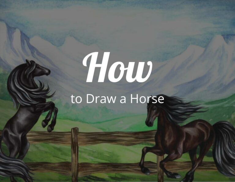 How To Draw A Horse (Step by Step)