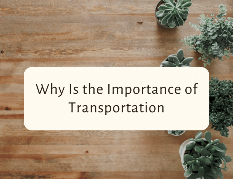 why is the importance of transportation