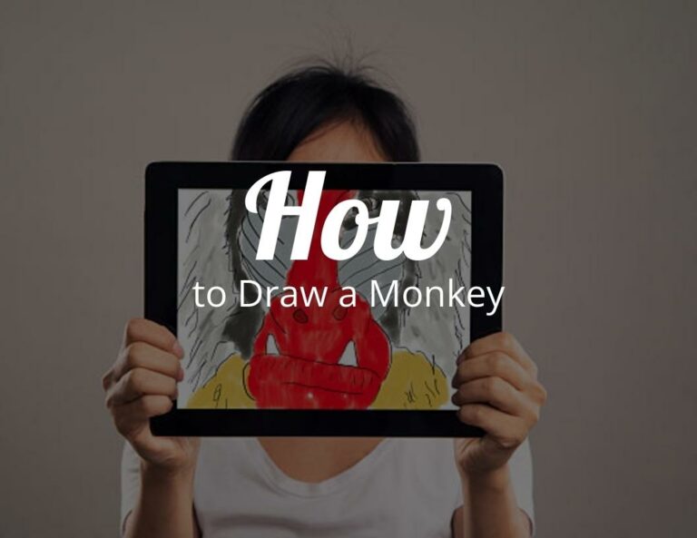 How To Draw a Monkey (Step by Step)