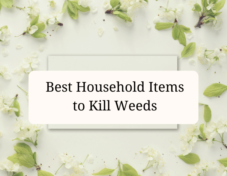 best household items to kill weeds