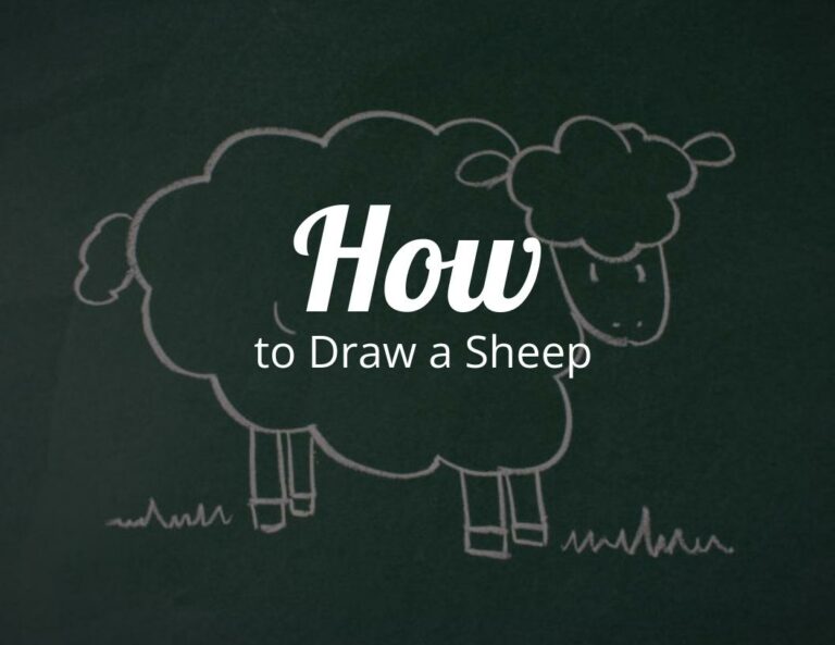 How To Draw A Sheep (Step by Step)