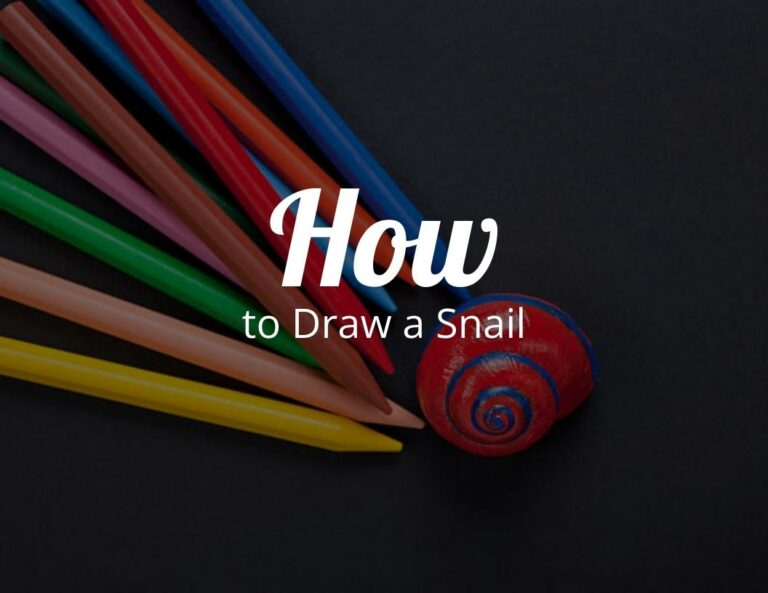 How To Draw a Snail (Step by Step)