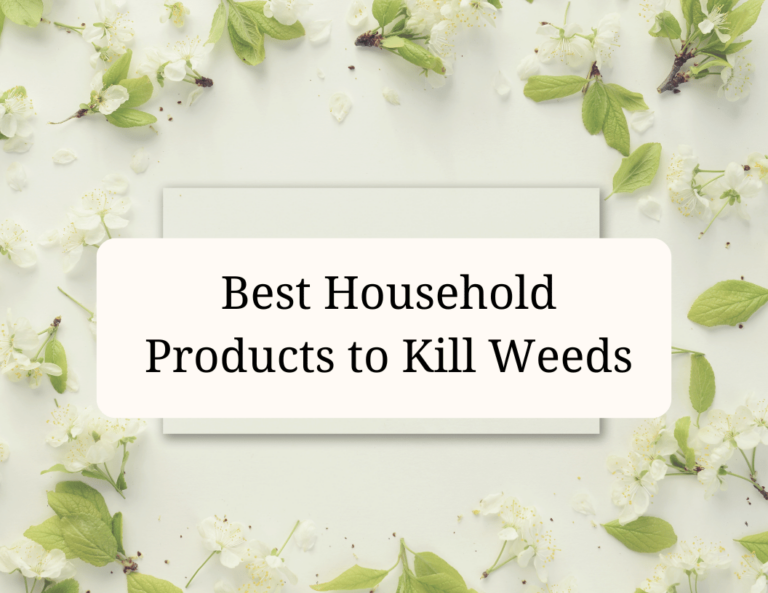 best household products to kill weeds