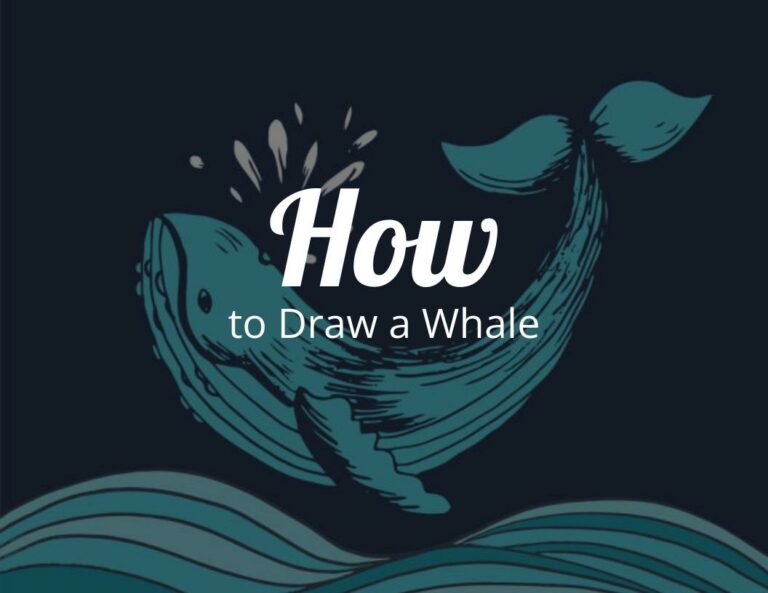 How To Draw A Whale (Step by Step)