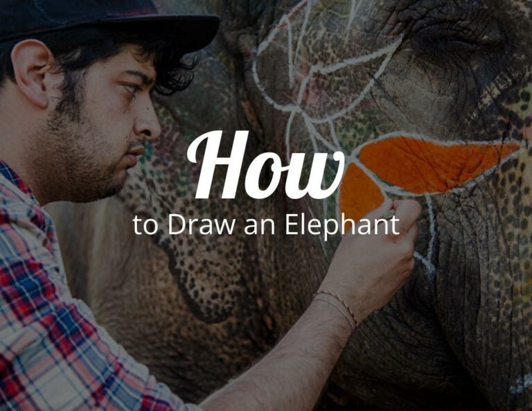 How to Draw an Elephant (Step by Step)