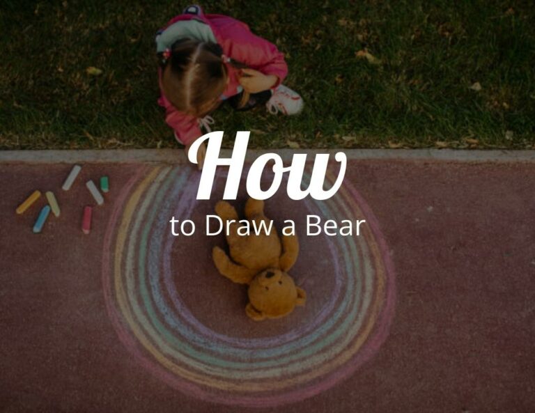 How to Draw a Bear?