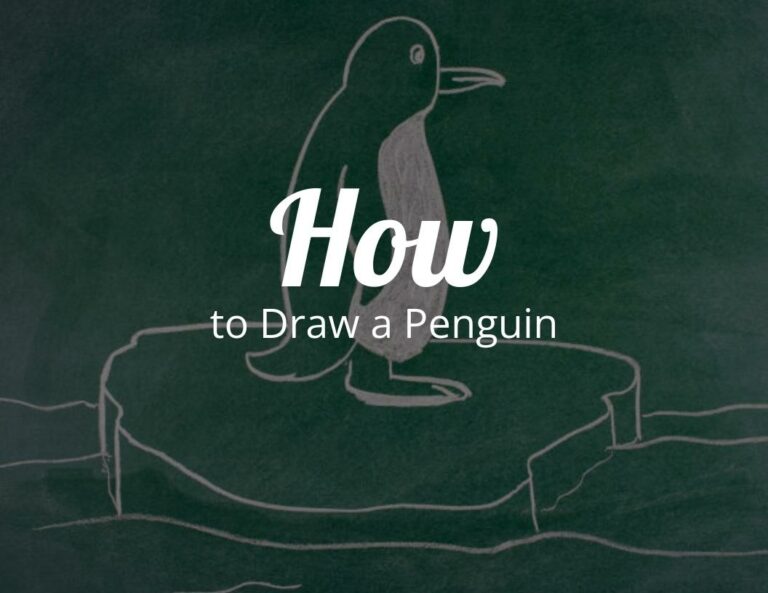 How to draw a penguin?