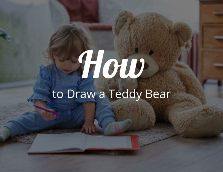 How to draw a teddy bear?