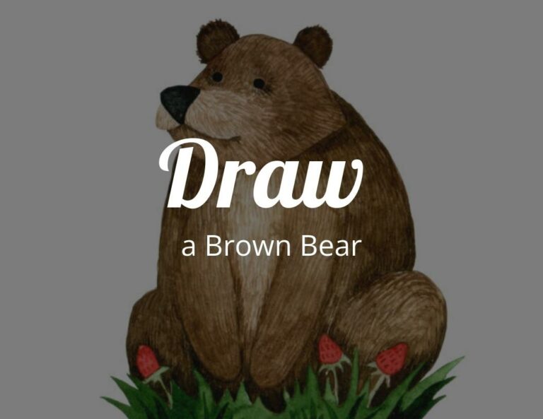 How to Draw a Brown Bear Step by Step with Free Brown Bear Template